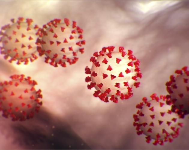 Microscopisch beeld van coronavirus-cellen