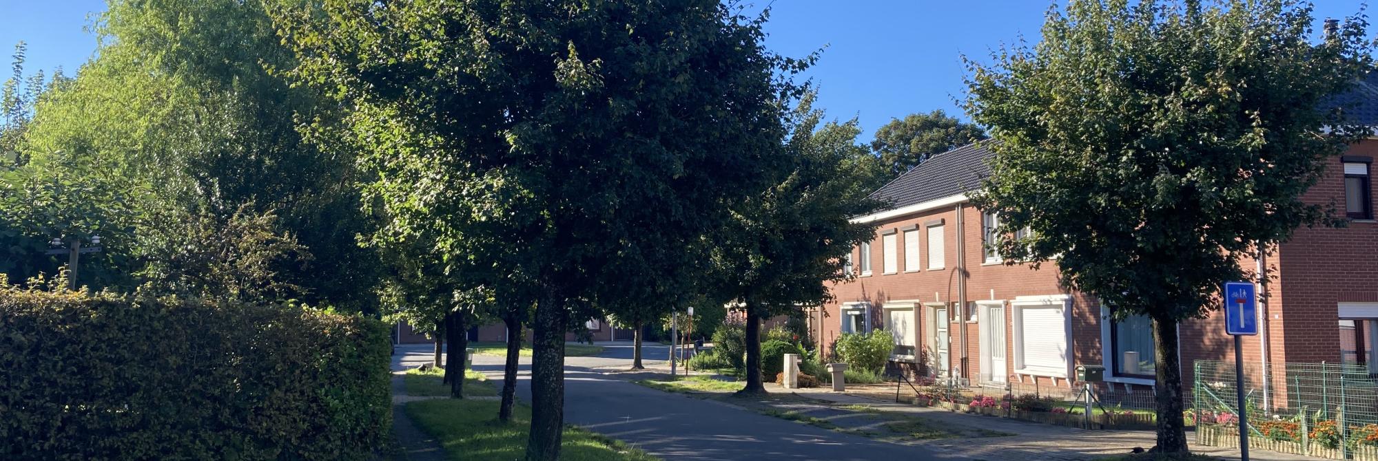 Openbaar domein - straat met pleintje in de Molenwijk